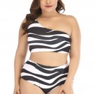 Plus Size Zebra Print Two Piece Swimsuit