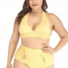Plus Size High Waisted Bikini Set