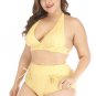 Plus Size High Waisted Bikini Set