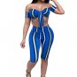Sexy 2 Piece Tube Top and Hot Shorts Set