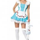 Lovely Dorothy Girl Costume