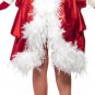 Santa Baby Burlesque Costume