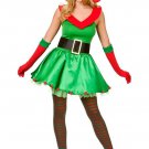 Christmas Elf Santa's Costume