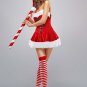 Sexy Santa Christmas Costume