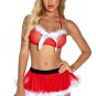 Ho Ho Hottie Lingerie Costume