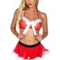 Ho Ho Hottie Lingerie Costume