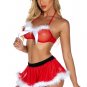 Ho Ho Hottie Lingerie Costume