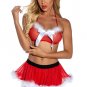 Ho Ho Hottie Lingerie Costume