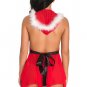 Rockin Around Lingerie Costume