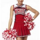 Dallas Cheerleader Costume