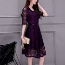 Large Size Women's Clothing Collar Lace Render Dress