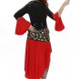 Rogue Pirate Wench Costume