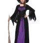 Rich Witch Costume