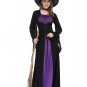 Rich Witch Costume