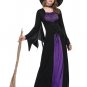 Rich Witch Costume