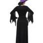 Rich Witch Costume