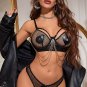 Mesh and Wet Look Bra Set