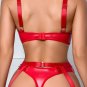 Just Desserts Wet Look Bra Set