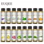 10ml Essential Oil with Dropper Lavender, Jasmine, Eucalyptus, Vanilla