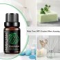 10ML Fruit Fragrance Oil, Strawberry, Watermelon, Mango, Coconut, Cherry