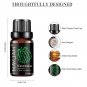 10ML Fruit Fragrance Oil, Strawberry, Watermelon, Mango, Coconut, Cherry
