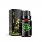 10ML Fruit Fragrance Oil, Strawberry, Watermelon, Mango, Coconut, Cherry