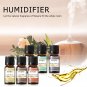 6pcs/set Oil Kit Coffee Bakery Harvest Spice Pumpkin Pie Forest Pine Sweet Fruit
