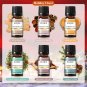 6pcs/set Oil Kit Coffee Bakery Harvest Spice Pumpkin Pie Forest Pine Sweet Fruit