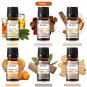 6pcs/set Oil Kit Coffee Bakery Harvest Spice Pumpkin Pie Forest Pine Sweet Fruit