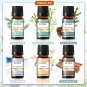 6pcs/set Oil Kit Coffee Bakery Harvest Spice Pumpkin Pie Forest Pine Sweet Fruit