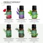 10ml Lavender, Eucalyptus, Tea, Peppermint, Rosemary, Mint, Bergamot, Rose Oils