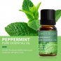 10ml Lavender, Eucalyptus, Tea, Peppermint, Rosemary, Mint, Bergamot, Rose Oils