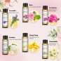 6 Bottles Floral Oils Set Rose Lavender Ylang Ylang Jasmine Geranium Chamomile