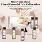 6 Bottles Floral Oils Set Rose Lavender Ylang Ylang Jasmine Geranium Chamomile