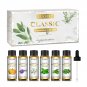 6 Bottles Floral Oils Set Rose Lavender Ylang Ylang Jasmine Geranium Chamomile