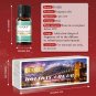 6PCS Fragrance Oils, 10ML Pine, Christmas Wreath, Sugar, Gingerbread