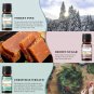 6PCS Fragrance Oils, 10ML Pine, Christmas Wreath, Sugar, Gingerbread