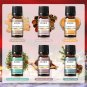 6PCS Fragrance Oils, 10ML Pine, Christmas Wreath, Sugar, Gingerbread