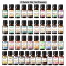 10ML Coconut, Vanilla, Forest Pine, Sandalwood, Bamboo, Teak Mango Fragrance Oil