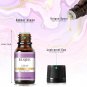 10ML Coconut, Vanilla, Forest Pine, Sandalwood, Bamboo, Teak Mango Fragrance Oil