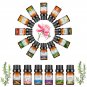 10ml Incense Water Soluble Essential Oil Lavender Tea Tree Lemon Rose Ocean Scent