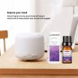10ml Incense Water Soluble Essential Oil Lavender Tea Tree Lemon Rose Ocean Scent