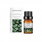 10ml Incense Water Soluble Essential Oil Lavender Tea Tree Lemon Rose Ocean Scent