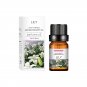 10ml Incense Water Soluble Essential Oil Lavender Tea Tree Lemon Rose Ocean Scent