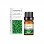 10ml Incense Water Soluble Essential Oil Lavender Tea Tree Lemon Rose Ocean Scent