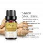 Essential Oils for Diffusers Aromatherapy Candle Making