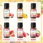 6pcs/set Fragrance Oil Gift Kit Coffee Bakery Harvest Spice Pumpkin Pie Forest Pine