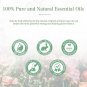 100ml Indian Frankincense Serrata Pure Essential Oil