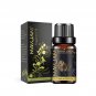 Fragrance Oils For Candle Making Car Air Freshener Clothes Hair