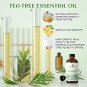 Tea tree Essential Oils, 118ML/4 Fl.Oz. Premium Plant Oil